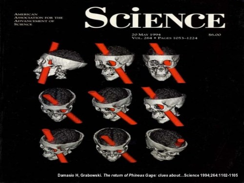 el-tratamiento-farmacolgico-de-la-agresividad-11-728