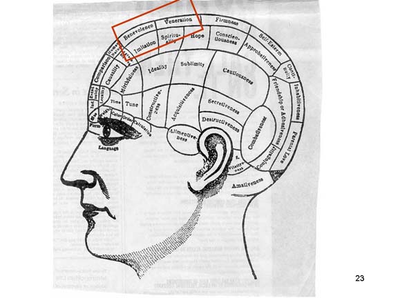 Puntos Frenológicos del Cerebro de Gage