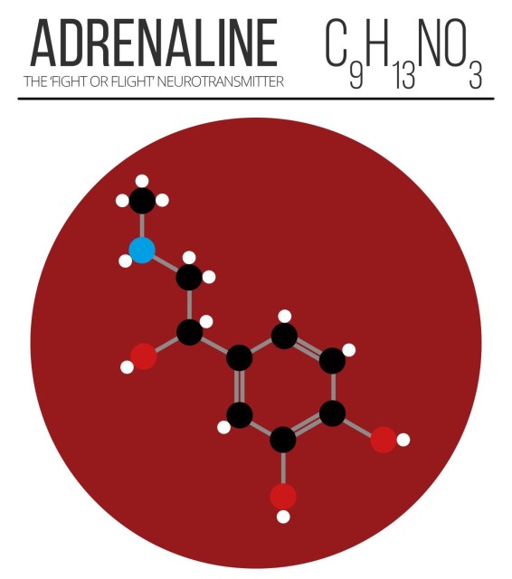 tumblr_n1o8uq8oAv1trtj0xo2_1280