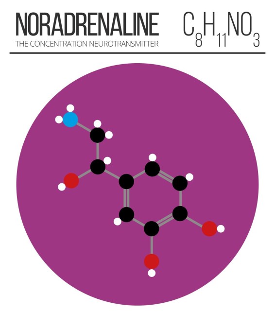 tumblr_n1o8uq8oAv1trtj0xo7_1280