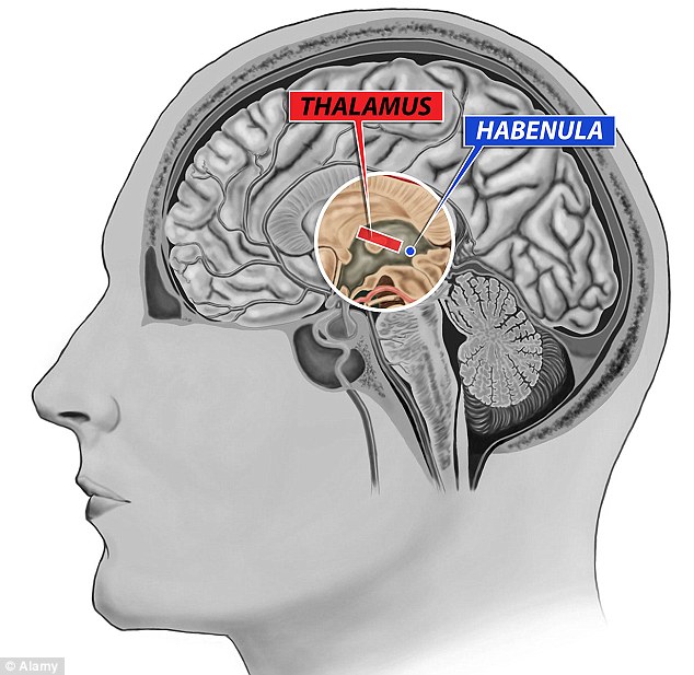 article-2734666-20D2F52C00000578-950_634x617