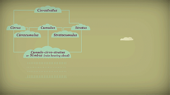 Los Tipos Extendidos 