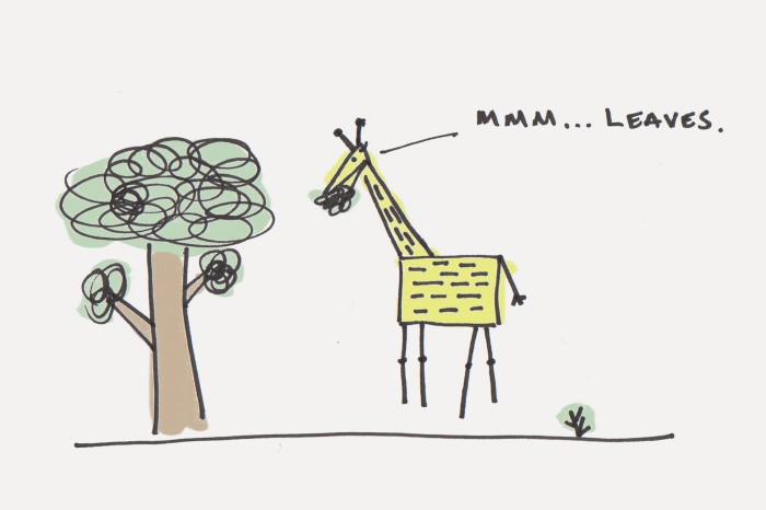 giraffe-700x466