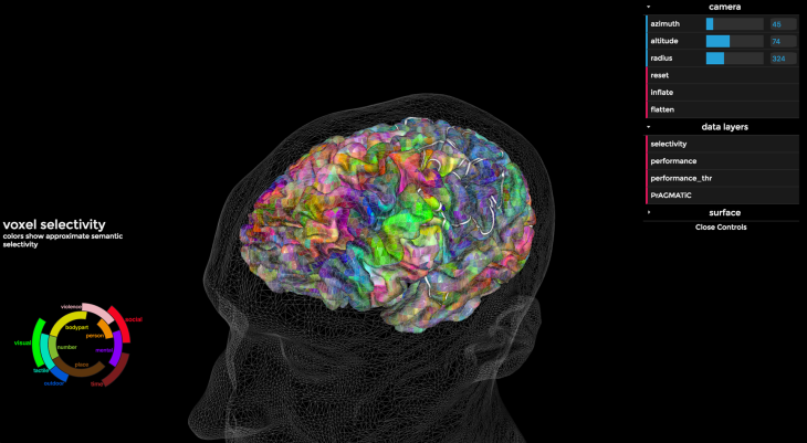 En los colores de la imagen podemos ver dónde nuestro cerebro almacena el lenguaje relacionado con diferentes semánticas.