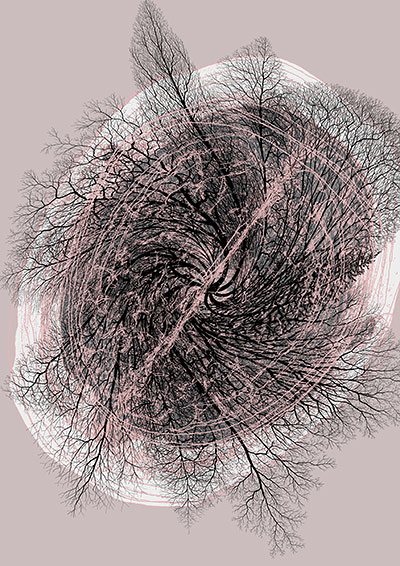 "Giro de Otoño" (Autumn Twist) de Andrew Carnie