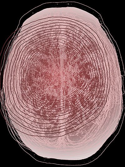 "Echo Pearl Delta" de Andrew Carnie.