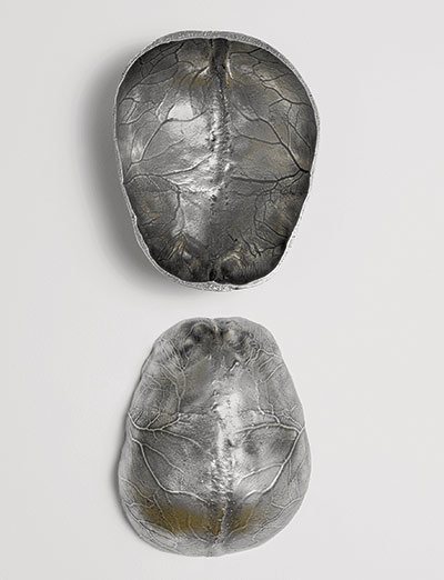 "Desde el Interior" (From Within) de Annie Cattrell.