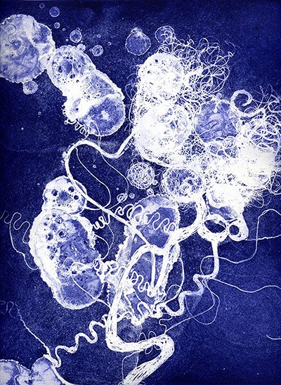 "Paisaje Cerebral 24" (Brainscape 24) de Susan Aldworth. Grabado y Acuarela.