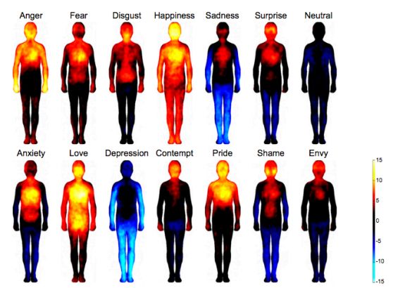 Mapa de Calor de nuestro cuerpo en varias emociones. El Enfado, el primero de la fila de arriba.