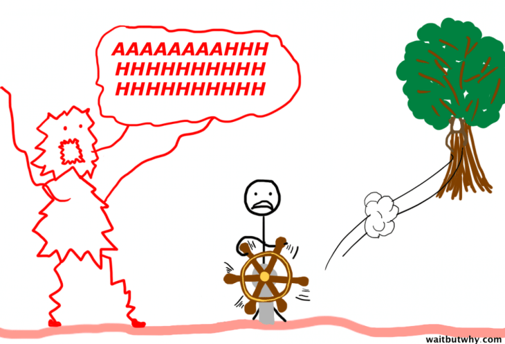 ¿Dónde está el mono?