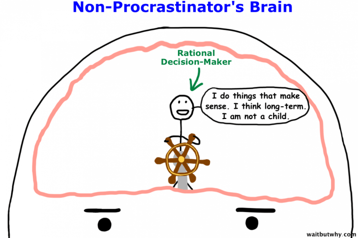 El Cerebro de Un NO Procrastinador