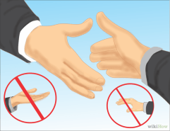 726px-have-an-effective-handshake-step-3