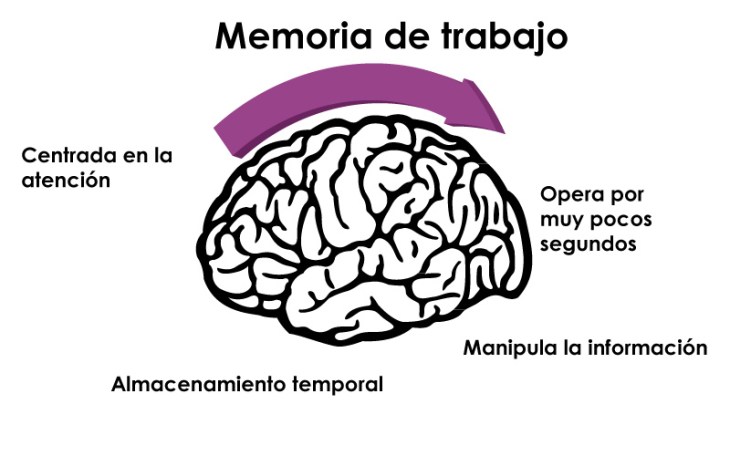 Características de la Memoria de Trabajo