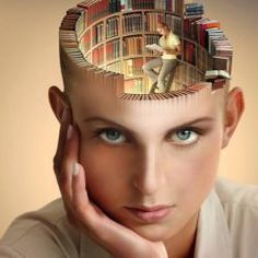 b7c673bef869f3ffc370d49995f13bb6