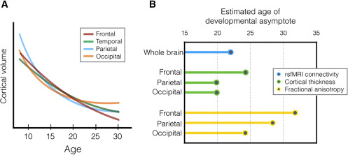 Gráficos del Estudio de Somerville