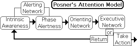 Sistema de Atención de Posner