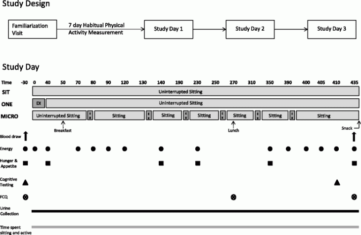 Resultados de los 3 días de Tests