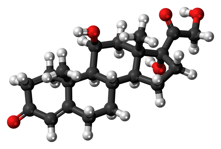 El Cortisol, la hormona del Stress