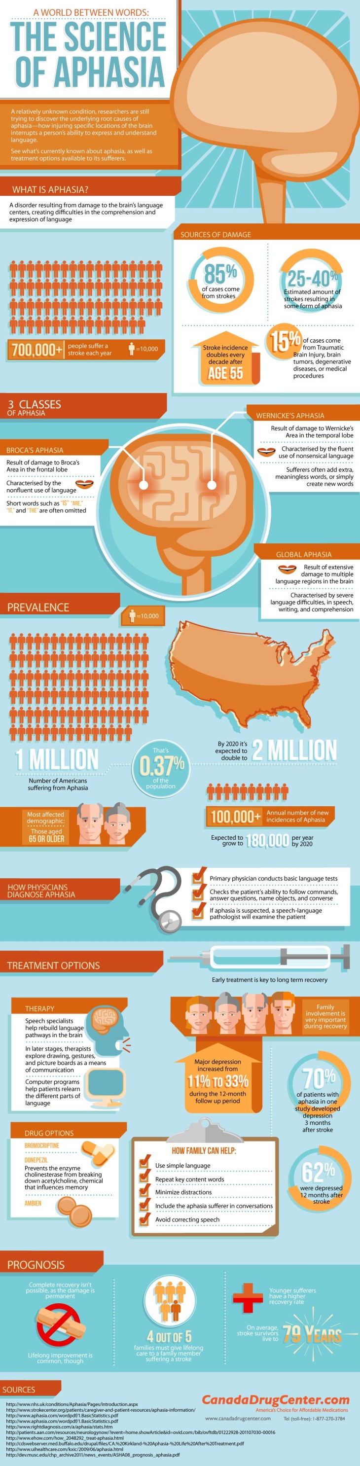 La Ciencia de La Afasia