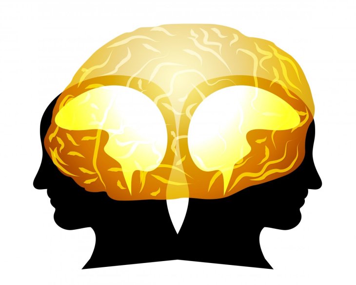 shutterstock_125327372_0