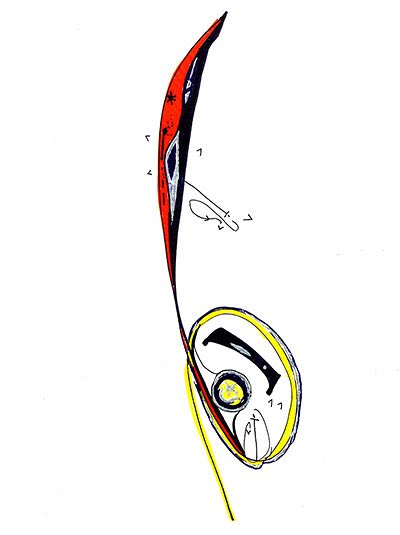 Luminous Axis for trumpet and electronics