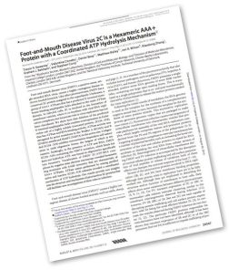 Dunning - Kruger Paper