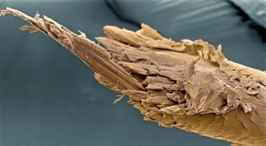 La Punta de Un Cabello