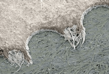 El Borde de un Sello