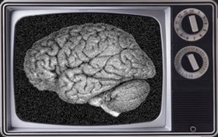 Cerebro y Tele