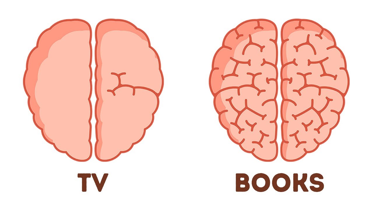 Brain, Books, TV